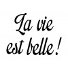 Texte en flex thermocollant "La vie est belle"