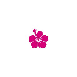 flex thermocollant fleur hibiscus