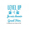 Texte en flex thermocollant"Level Up je vais devenir grand frère"